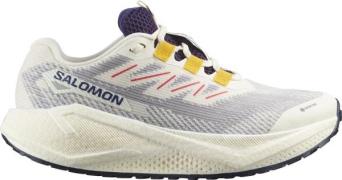 Salomon Women's Aero Blaze 3 Gravel GORE-TEX Vanilla Ice/Astral Aura/L...