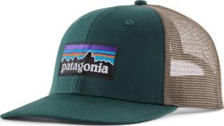 Patagonia P-6 Logo Trucker Hat Cascade Green