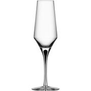 Orrefors Metropol Champagneglas 27 cl