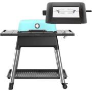 Everdure Force gasolgrill + rotisserie mat mint