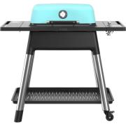 Everdure Gasolgrill E2G2M force, matt mint