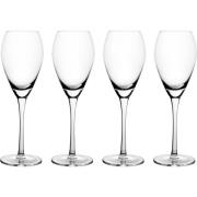 Mareld Champagneglas 16 cl, 4-pack