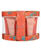 Grace Cole In Bloom Gift Box
