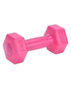 XQ Max Dumbbell 500g. Pink