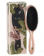 Fan Palm Hair Brush Medium Blush