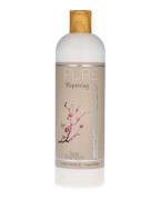 Trontveit Pure Repairing Attitude Shampoo 500 ml