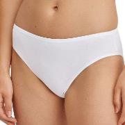 Calida Trosor Essential Cotton Brief Vit bomull Small Dam