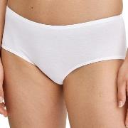 Calida Trosor Essential Cotton Hipster Panty Vit bomull Small Dam