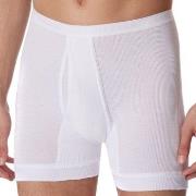 Schiesser Kalsonger Original Classics Underpants 3XL-6XL Vit bomull 3X...