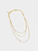 Pieces - Halsband - Gold Colour - Fpkuvena a Necklace Pack Plated - Sm...