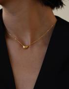 Muli Collection - Guld - Brushed Bean Necklace