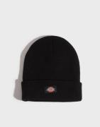 Dickies - Svart - Gibsland Beanie