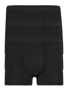 Jockey Cotton+ Trunk 3-P Svart