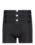 3-Pack Underwear - Gots/Vegan Boxerkalsonger Black Knowledge Cotton Ap...