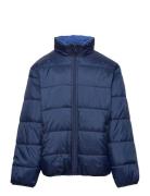 Jacket Reversible Fodrad Jacka Blue Lindex