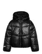 Jacket Puffer Fodrad Jacka Black Lindex