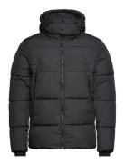 Cfwilson 0085 Short Puffer Jacket Fodrad Jacka Black Casual Friday