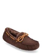 W Dakota Slippers Tofflor Brown UGG