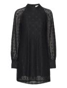 Texas Lace Dress Kort Klänning Black Noella