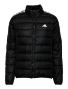 Essentials Down Jacket Fodrad Jacka Black Adidas Sportswear