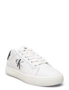 Classic Cupsole Laceup Låga Sneakers White Calvin Klein