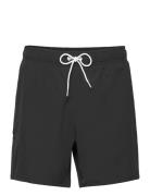 Hco. Guys Swim Badshorts Black Hollister