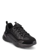 Womens Bobs Bamina - Star Strikez Låga Sneakers Black Skechers