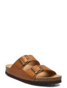 Scholl Sl Josephine Leather Brun