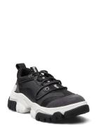 Adley Way Oxford Låga Sneakers Black Timberland