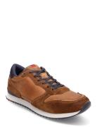 Earland Låga Sneakers Brown Lloyd