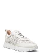 Cairo Låga Sneakers White Wonders