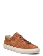 Jermain Suede Sneaker Låga Sneakers Brown Polo Ralph Lauren