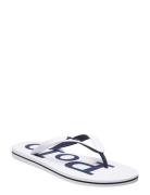Eva-Bolt-Sn-Csl Flip Flops Sandaler White Polo Ralph Lauren