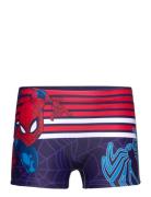 Board Short Swimwear Badshorts Navy Spider-man