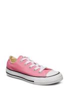 Converse Chuck Taylor All Star Rosa