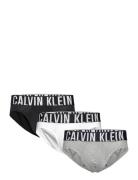 Hip Brief 3Pk Kalsonger Y-front Briefs Grey Calvin Klein