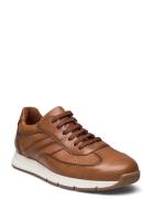 Adlay Låga Sneakers Brown Lloyd