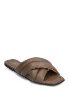 Cotti Khaki Brown Nappa Platta Sandaler Brown ATP Atelier