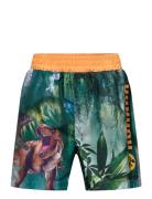 Jurassic World Swimming Shorts Multi/patterned