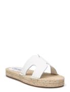 Cheer Up Sandal Platta Sandaler White Steve Madden