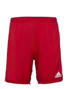 Squadra 21 Short Sport Shorts Sport Shorts Red Adidas Performance