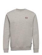 Oakport Sweatshirt Designers Sweat-shirts & Hoodies Sweat-shirts Grey ...