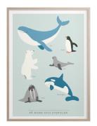 På Nord- Och Sydpolen Home Kids Decor Posters & Frames Posters Multi/p...