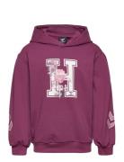 Hummel Hmlastrology Hoodie Lila