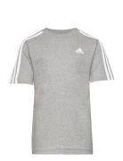 Adidas Sportswear U 3S Tee Vit