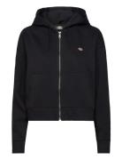 Dickies Oakport Zip Hoodie Svart