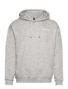 Tx Logo Hoody Sport Sweat-shirts & Hoodies Hoodies Grey Adidas Terrex