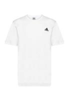 Adidas Sportswear M Sl Sj T Vit