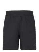 M Z.n.e. Pr Sho Sport Shorts Sport Shorts Black Adidas Sportswear
