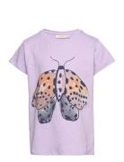 Sgpilou Garden Swarm Ss Tee Tops T-shirts Short-sleeved Purple Soft Ga...